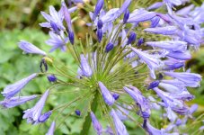 After Rain.07.jpg