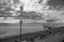 _D8A2708-Edit-bw-sm.jpg