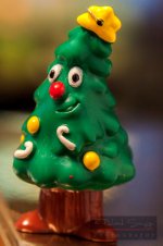 DSC_2367.jpg