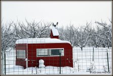 OUTSIDE 015.JPG