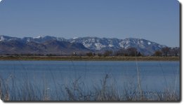 1-11-16-cr__D7K0553.jpg