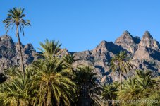 DSC_6327.jpg