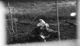 bbb_DSC_0075.jpg