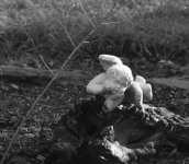 ccc_DSC_0075.jpg