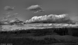 _DSC1260.jpg