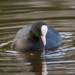 DSC_8001-Edit.jpg