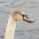 DSC_8035-Edit.jpg