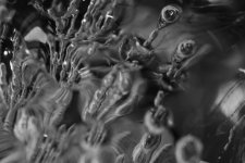 to explore strange new worlds, to seek out life.......jpg