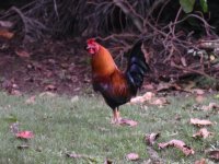 aa_DSC_0126.jpg