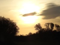 DSCN0699o.jpg