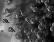 bubbles in ice  #9.jpg