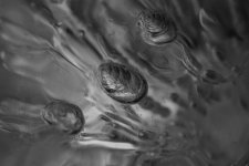bubbles in ice  #323672234.jpg