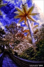 1-13-16 Green Cay IR    1.jpg