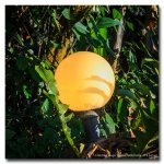 lamp.jpg