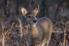 untitled-5510-3.jpgresize 1024.jpg