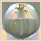 Orchid in Crystal 1-13-2016.jpg