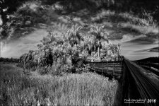 1-13-16 Green Cay IR    3.1.jpg