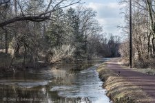 Delaware Canal at E Ferry Rd, Yardley, PA.jpg
