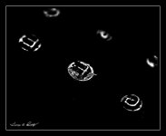 W_DSC_0783.jpg