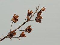 DSCN9578.jpg