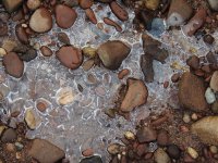 DSCN9564.jpg
