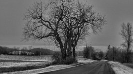 DSCN2508.jpg