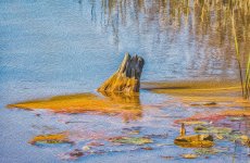 D71_8390_1_2-Edit-2-Edit.jpg
