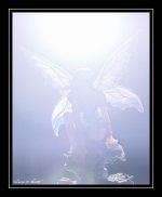 W_DSC_0785.jpg