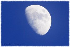 1-18-2016-cr__D7K0778.jpg
