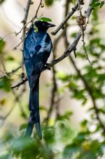 DSC_3824.jpg
