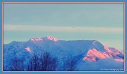 Sunrise 1-19-2016.jpg