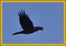 1-19-2016-cr__D7K0816.jpg