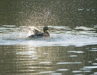 DSC_4682.jpg