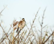 DSC_4576.jpg