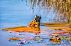 D71_8390_1_2-Edit-2.jpg