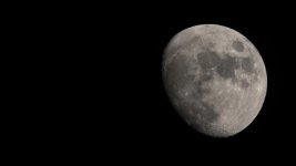 DSC_8300.jpg