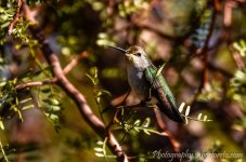 DSC_7669.jpg