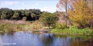 1-20-16 Green Cay A7 5.jpg