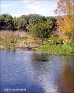 1-20-16 Green Cay A7 6.jpg