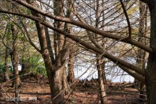 1-20-16 Green Cay A7 8.jpg