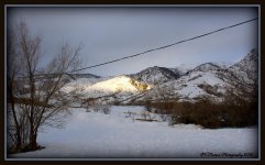 A Light in the Gloom 1-20-2016.jpg
