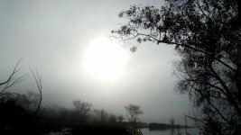 DSCN1265.JPG