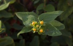 DSC_4856.jpg