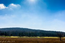20160117-_D715203-2.jpg