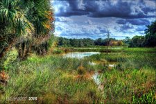 1-20-16 Green Cay A7 HDR   25.jpg