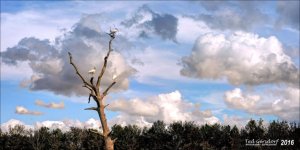 1-20-16 Green Cay A7 HDR   26.1.jpg