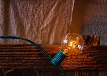 Bulb #1.jpg