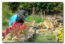 gardener4.jpg