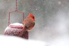 DSC_6434.jpg
