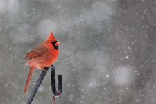 DSC_6440_DxO.jpg